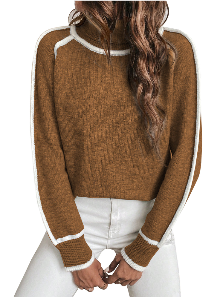 Pull d'hiver à col roulé doux